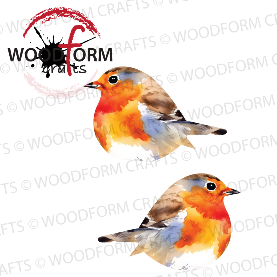 TWO SIDES ‘LIFE LIKE’ HANGING ROBIN DESIGN PNG DIGITAL DOWNLOAD FILE